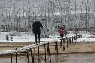 惊险！孩子每天踩独木桥上学 常有人坠落