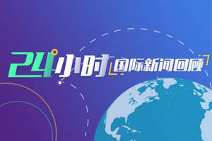 美政府又被告：阿拉斯加沿岸现60只海豹尸体