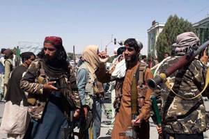 专题|阿富汗局势失控 塔利班进入首都